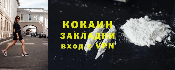 крисы Дмитров