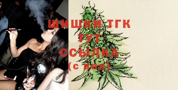метадон Новодвинск