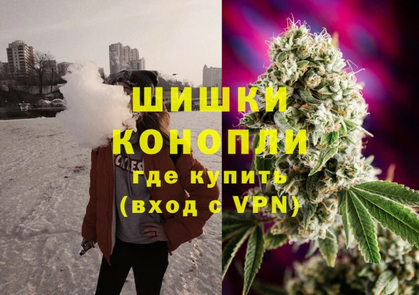 PSILOCYBIN Новозыбков