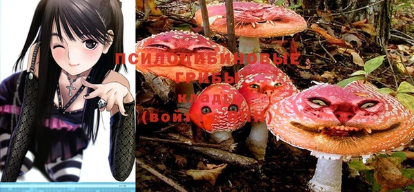 PSILOCYBIN Новозыбков