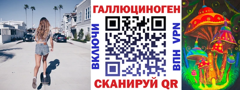 сколько стоит  Приозерск  Псилоцибиновые грибы Psilocybe 