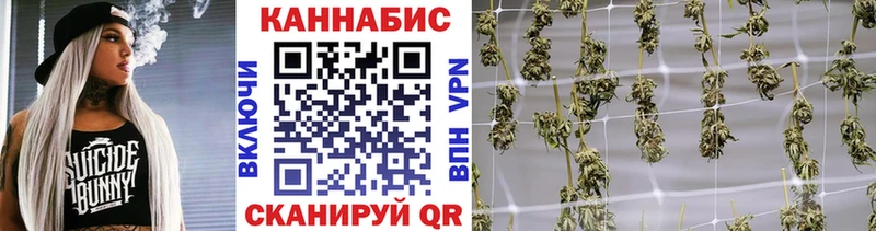 Канабис гибрид  мега сайт  Приозерск  как найти наркотики 
